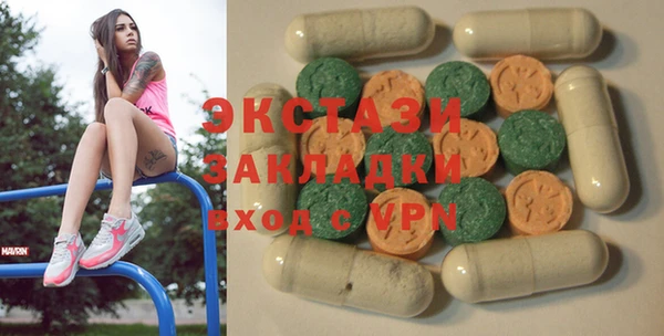гидра Щигры