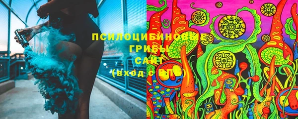 тгк Медногорск