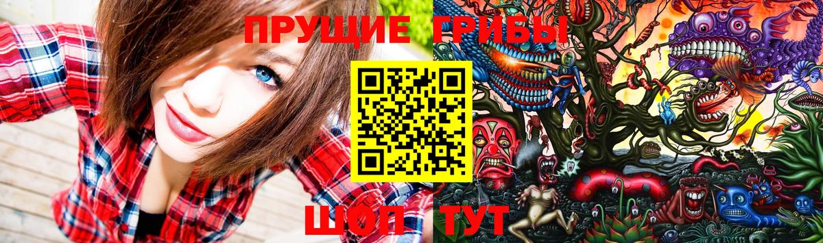 Южноуральск  Галлюциногенные грибы прущие грибы  Вход с VPN 